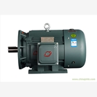 廣州新塘東莞YSJ注塑機專用電機，東莞電機廠